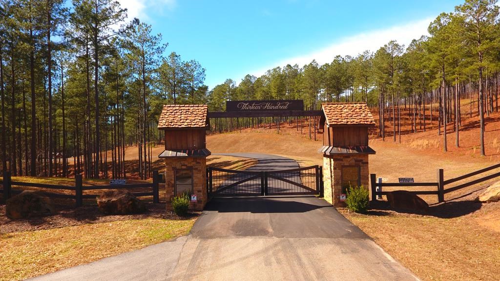 Lot 313 The Cove At 1300 #313, BLAIRSVILLE, Georgia image 6