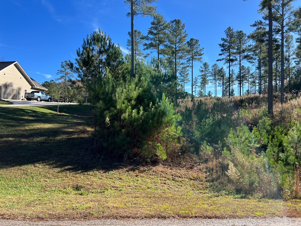 Lot 313 The Cove At 1300 #313, BLAIRSVILLE, Georgia image 16