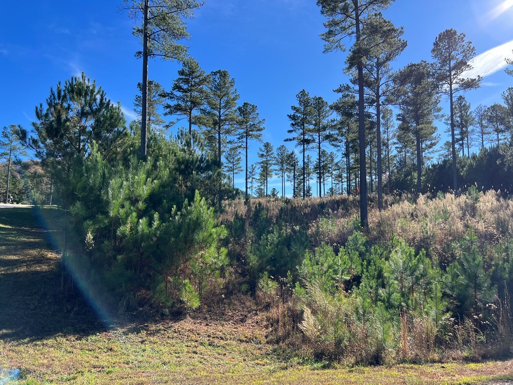 Lot 313 The Cove At 1300 #313, BLAIRSVILLE, Georgia image 37