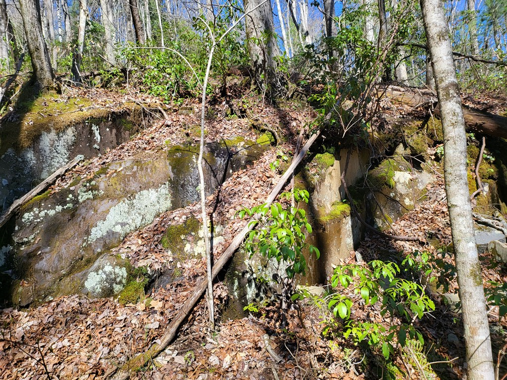 17-22 Huffman Creek #17-22, ROBBINSVILLE, North Carolina image 14