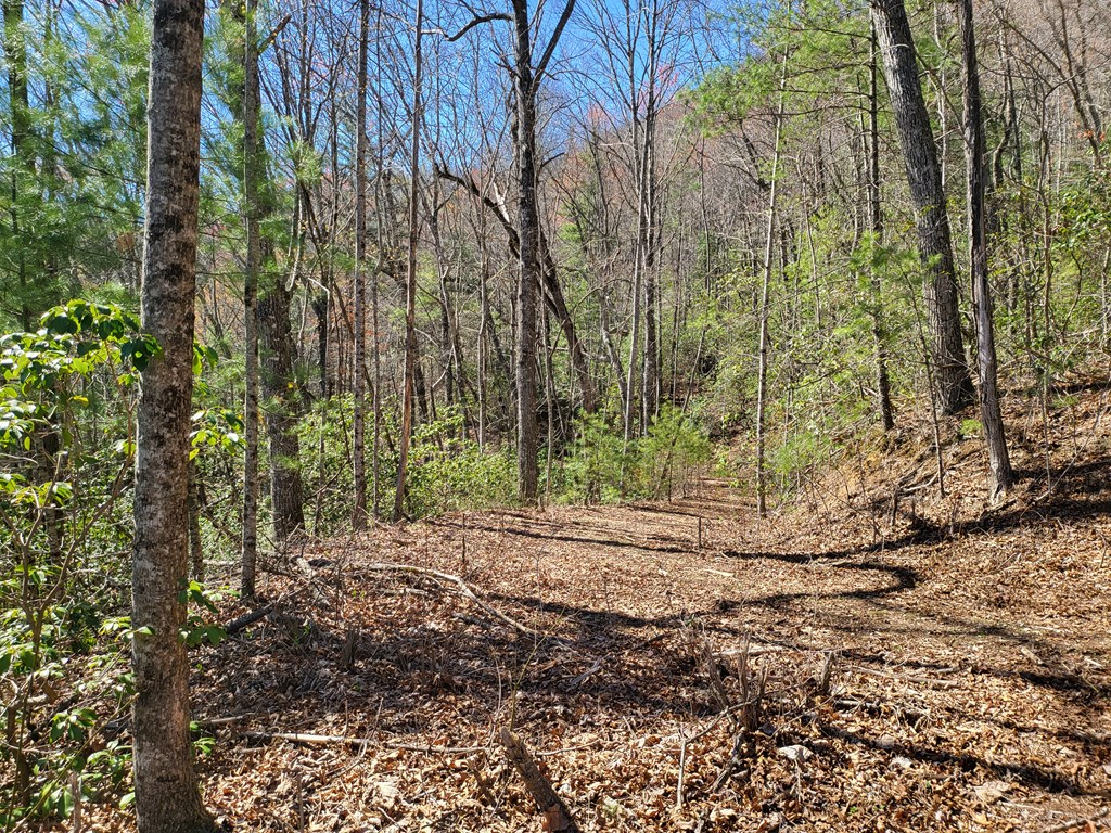 17-22 Huffman Creek #17-22, ROBBINSVILLE, North Carolina image 8