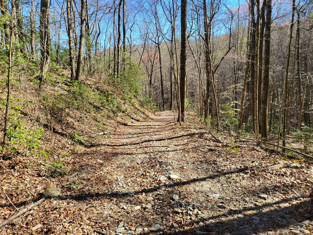 17-22 Huffman Creek #17-22, ROBBINSVILLE, North Carolina image 9