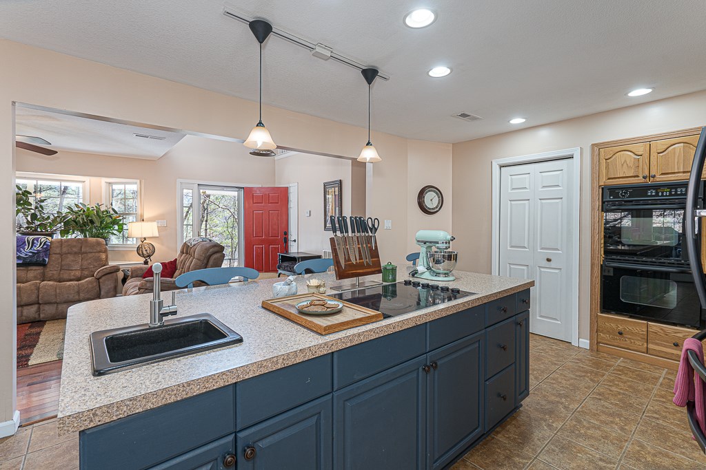 9 Domenico Dr, MURPHY, North Carolina image 11