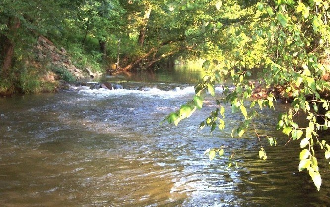 LOT 6 Brasstown Trails #6, WARNE, North Carolina image 19