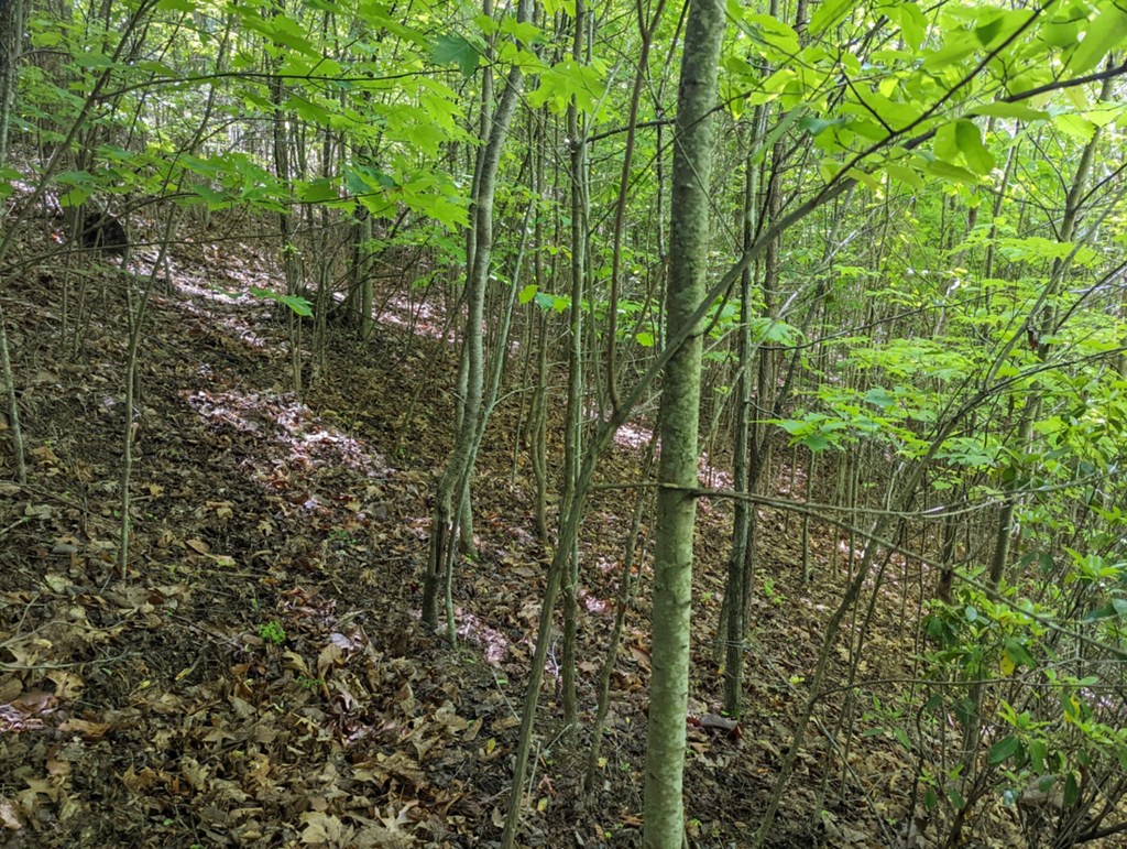 TBD Heritage Trail #79, BRASSTOWN, New York image 4