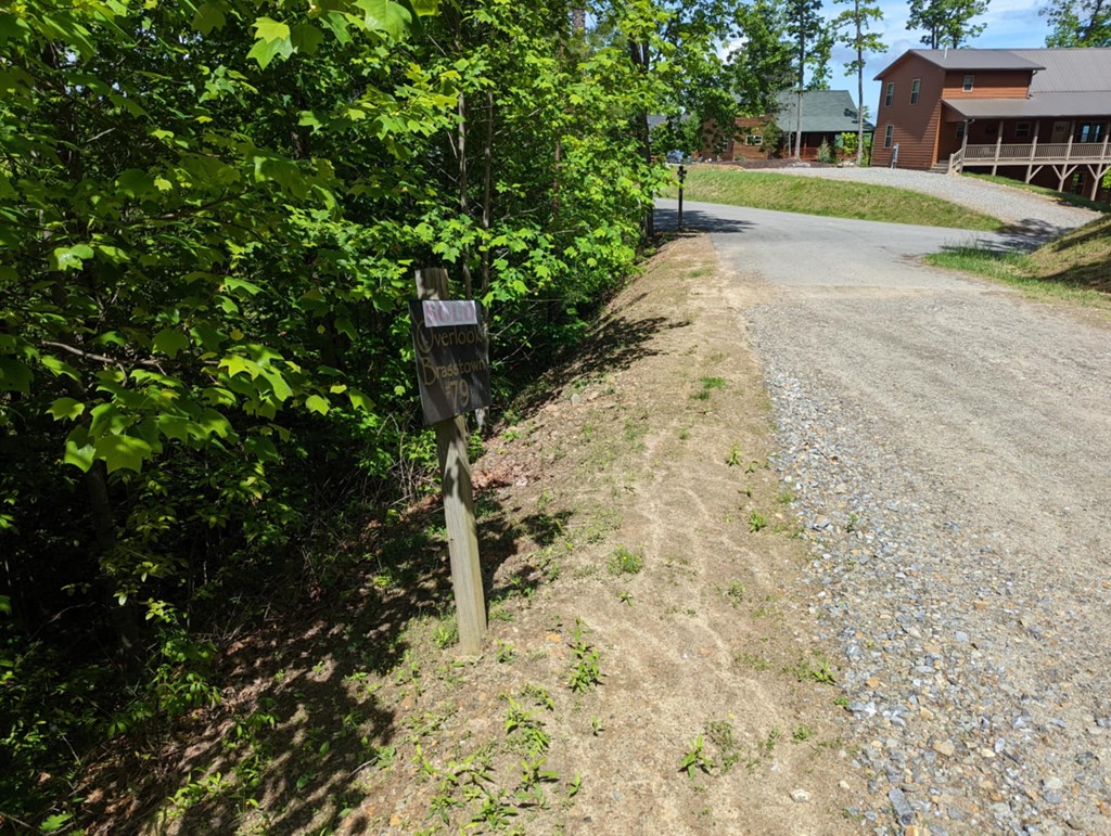TBD Heritage Trail #79, BRASSTOWN, New York image 2