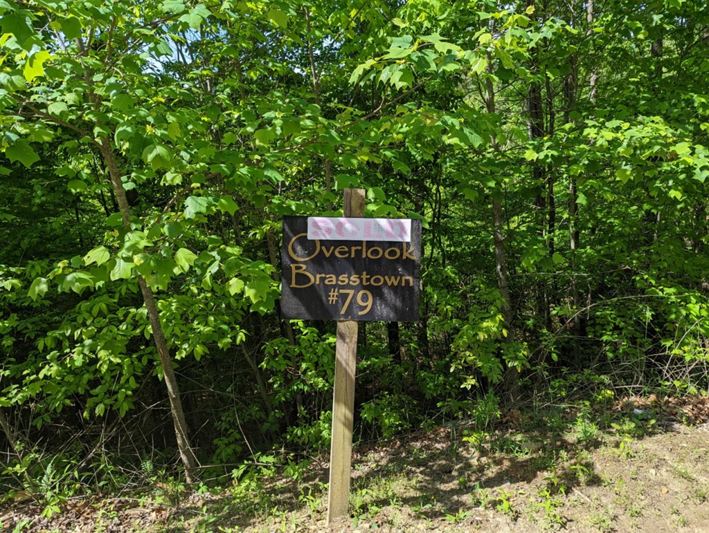 TBD Heritage Trail #79, BRASSTOWN, New York image 3