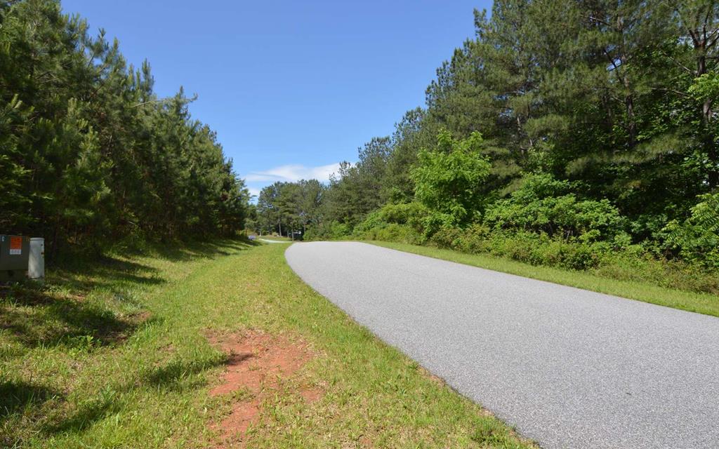 Lot 14 Loftis Mountain #14, BLAIRSVILLE, Georgia image 1