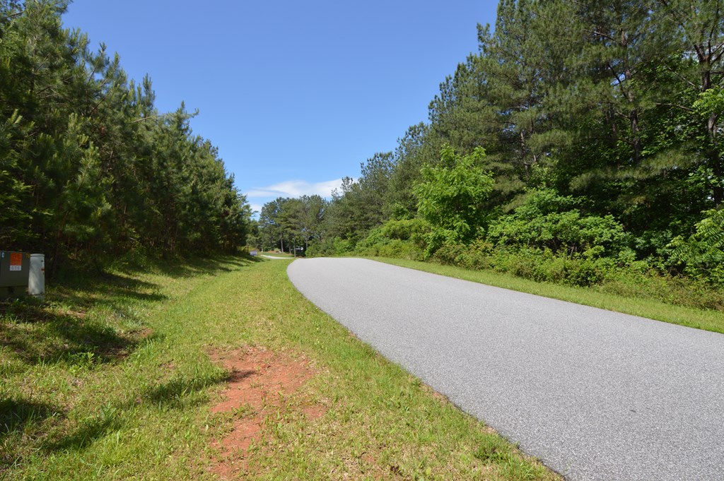 Lot 14 Loftis Mountain #14, BLAIRSVILLE, Georgia image 4