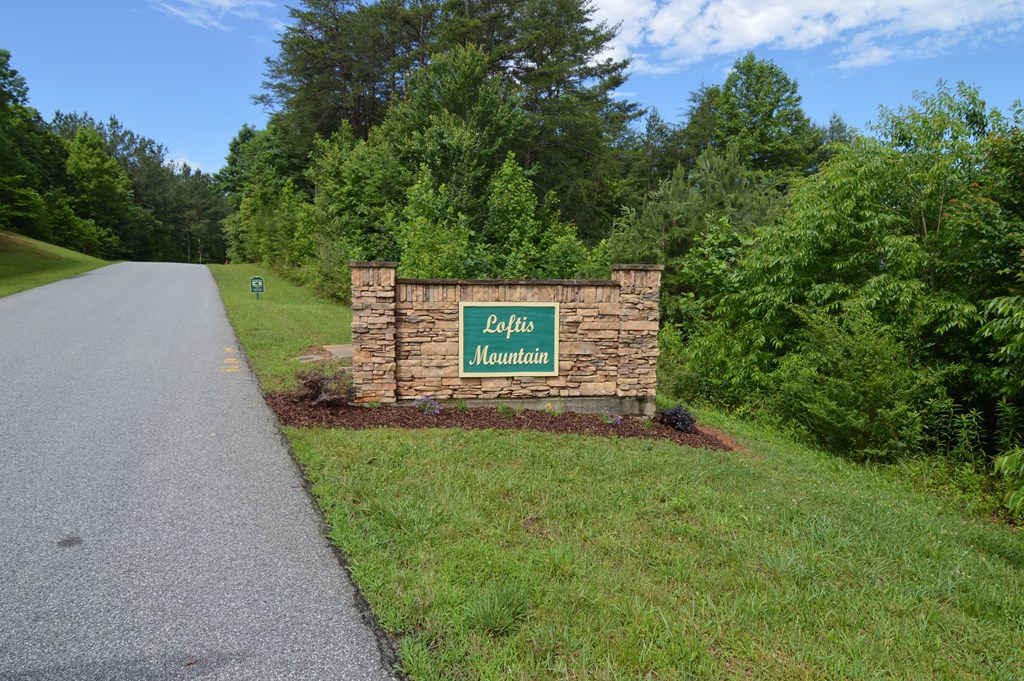 Lot 14 Loftis Mountain #14, BLAIRSVILLE, Georgia image 7