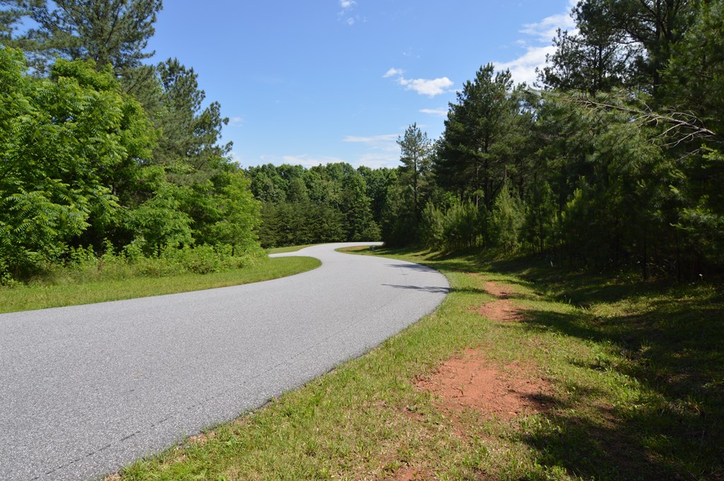 Lot 14 Loftis Mountain #14, BLAIRSVILLE, Georgia image 5