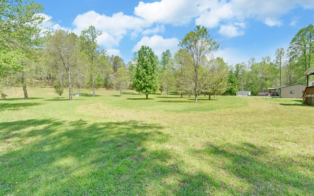 447 Johnsonville Rd, MURPHY, North Carolina image 39