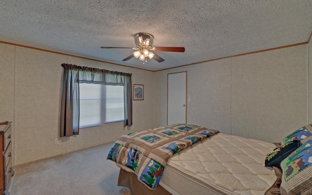 447 Johnsonville Rd, MURPHY, North Carolina image 27
