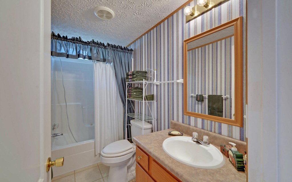447 Johnsonville Rd, MURPHY, North Carolina image 26