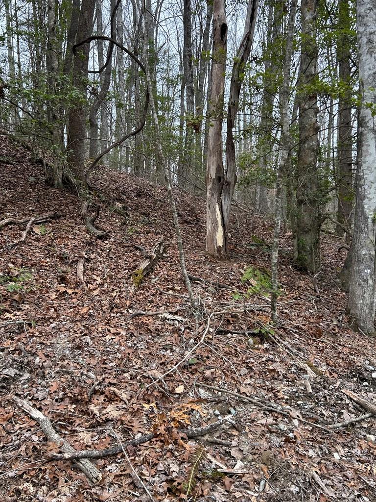 Old Rocky Branch Rd #26, TOPTON, North Carolina image 1