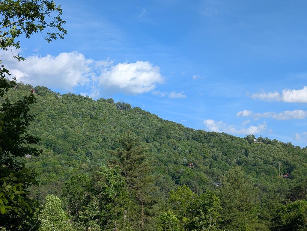660 Mountain Top Rd, MARBLE, North Carolina image 2