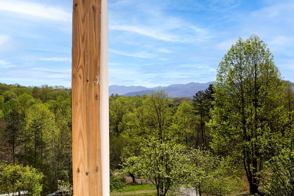 105 Sharons Valley Drive, HAYESVILLE, North Carolina image 39