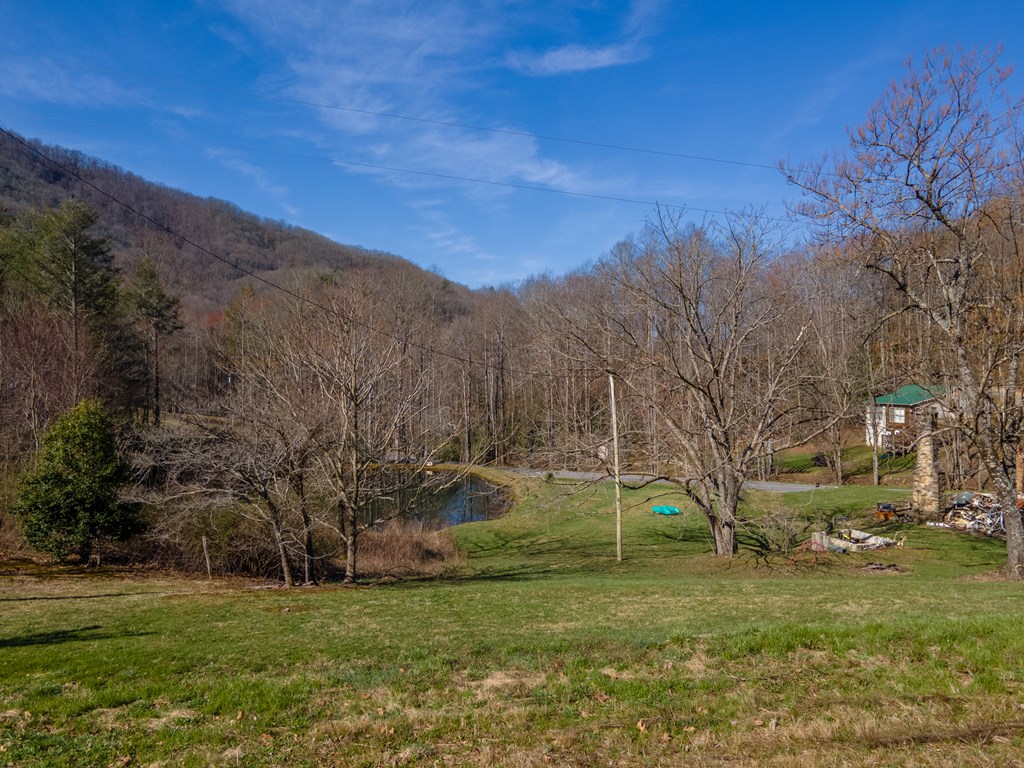 3582 Franks Creek Road, ROBBINSVILLE, North Carolina image 17