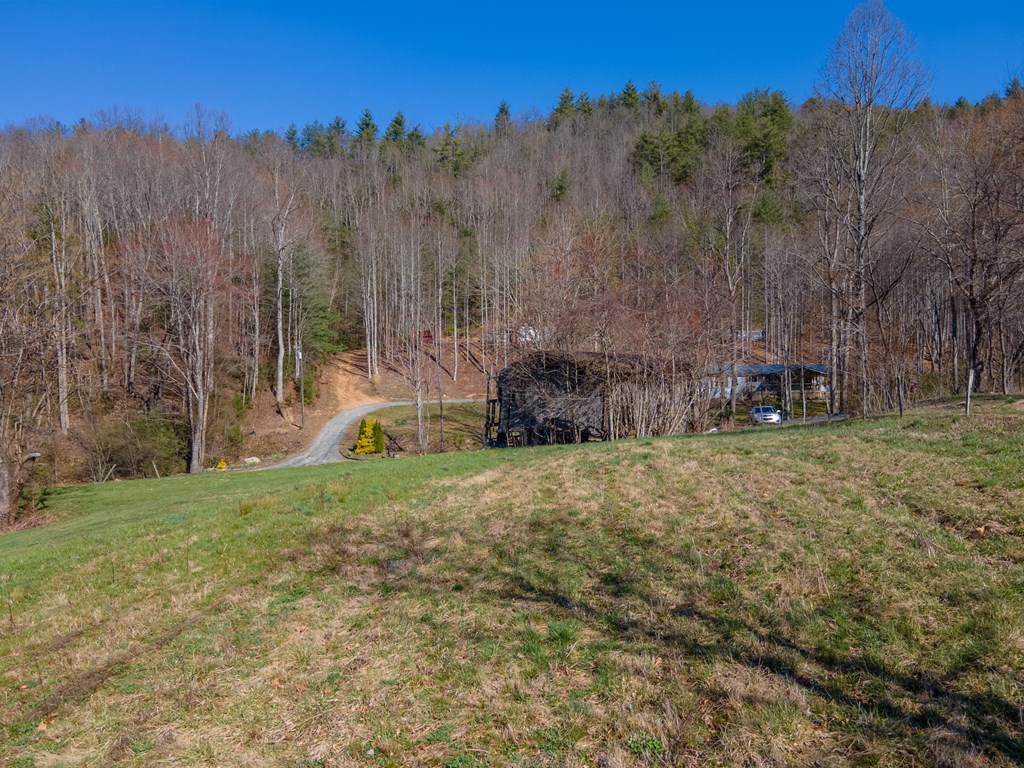 3582 Franks Creek Road, ROBBINSVILLE, North Carolina image 16