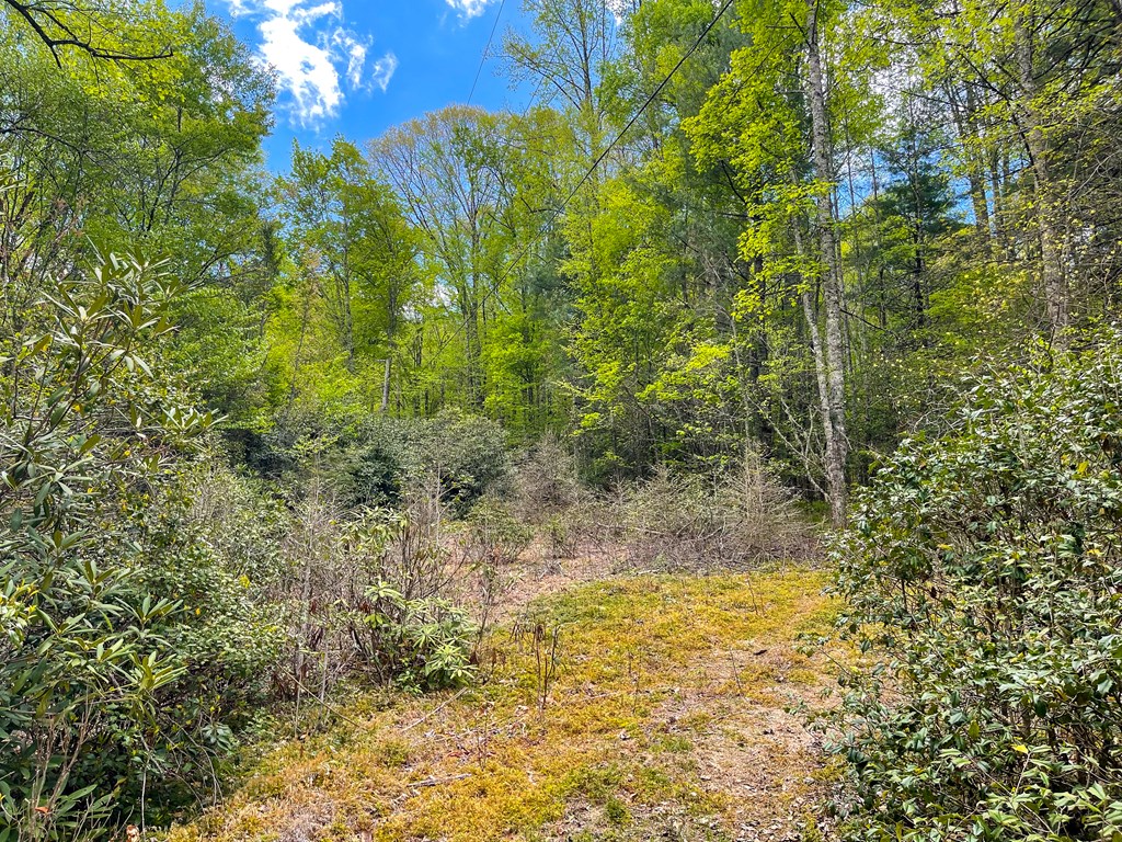 19801 Wayah Rd, TOPTON, North Carolina image 21