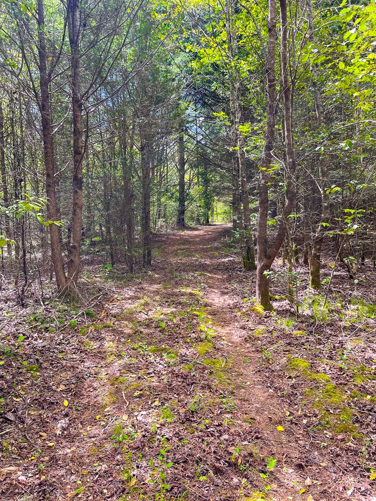 19801 Wayah Rd, TOPTON, North Carolina image 13