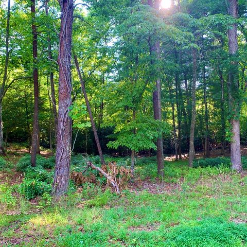 Lot 19 Brasstown Trails WARNE NC 28909