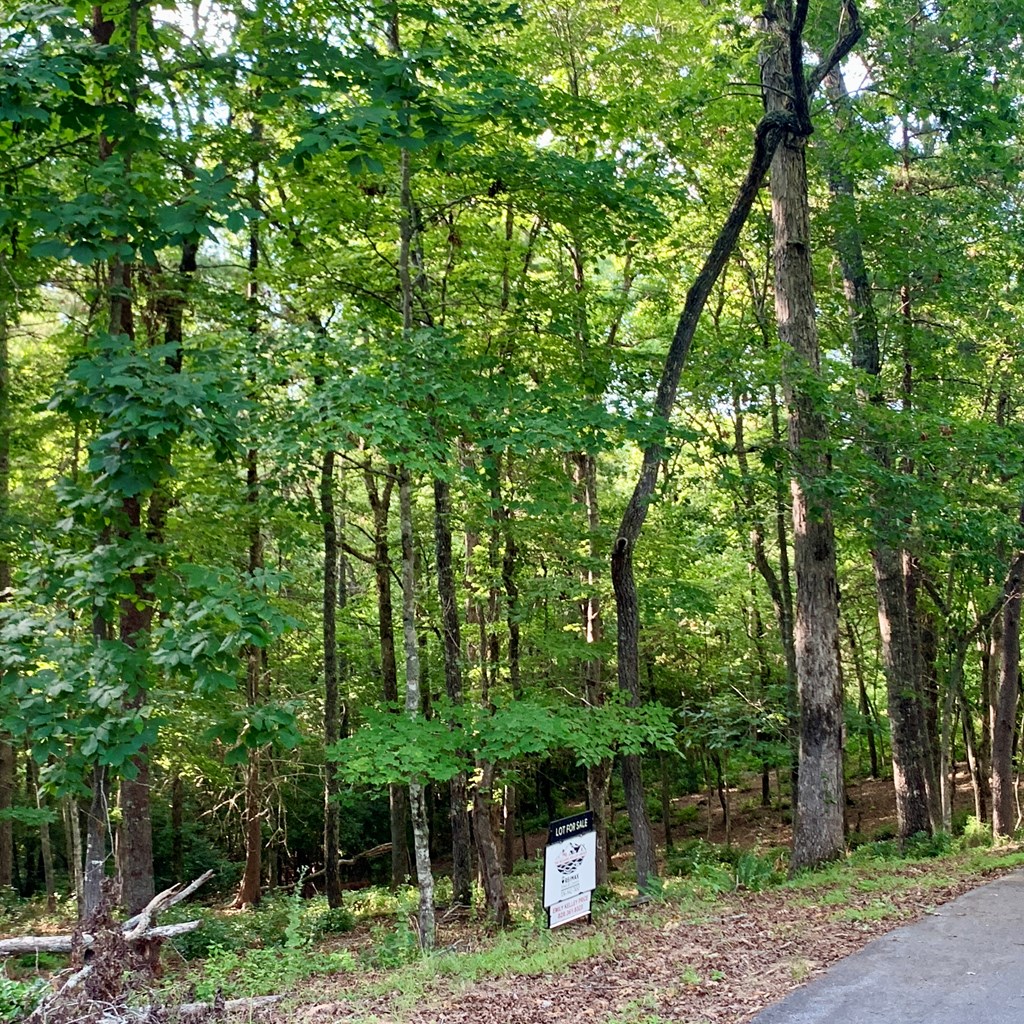 Lot 19 Brasstown Trails