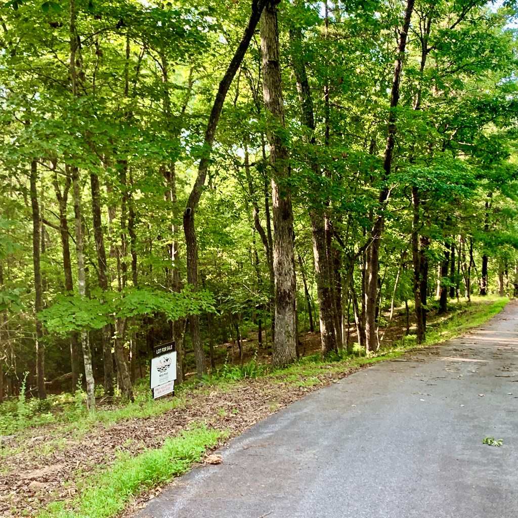 Lot 19 Brasstown Trails
