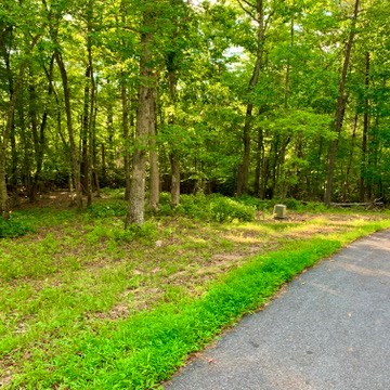 Lot 19 Brasstown Trails