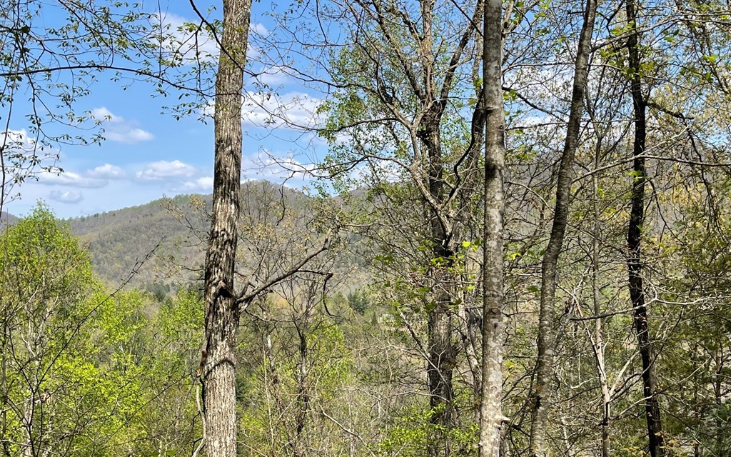 Lot 8D Eagle Heights #8D, HIAWASSEE, Georgia image 16