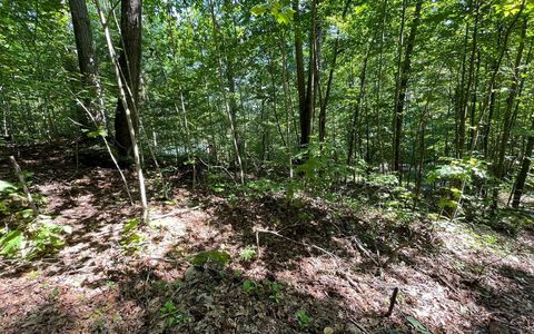 Vacant Land For Sale - LOT 8D Eagle Heights #8D<br/> HIAWASSEE, GA 30546