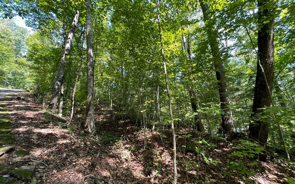 Lot 8D Eagle Heights #8D, HIAWASSEE, Georgia image 11