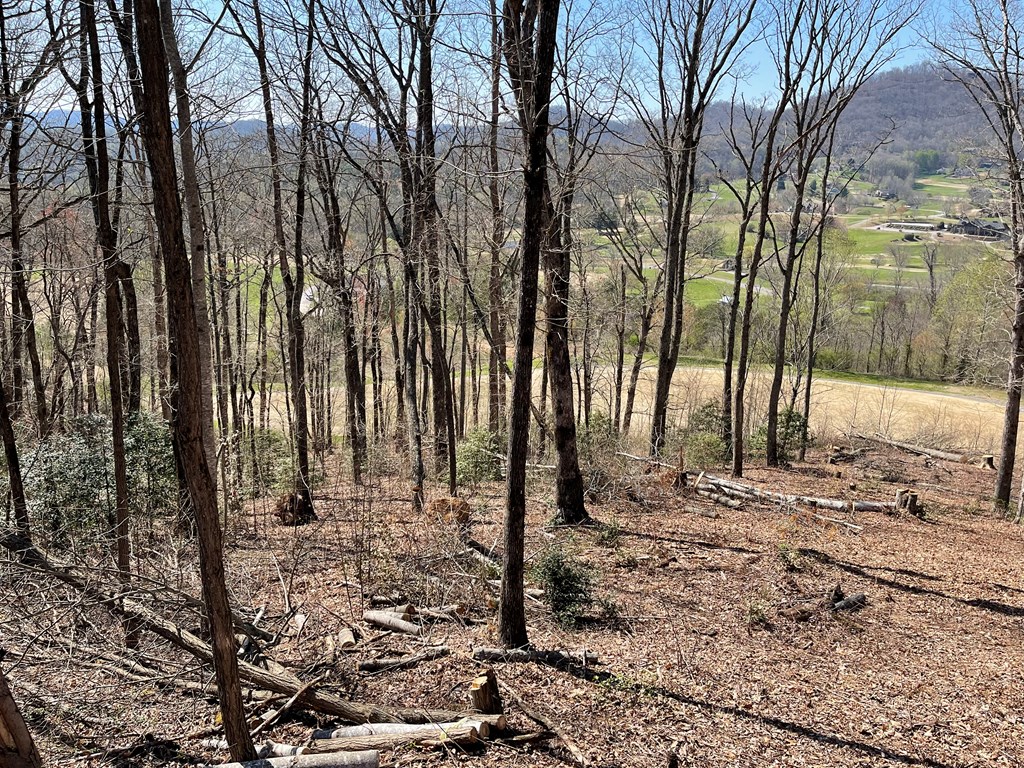 17M Ridges Overlook #17M, HAYESVILLE, North Carolina image 25