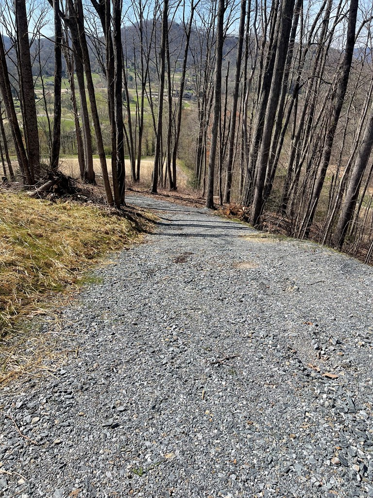 17M Ridges Overlook #17M, HAYESVILLE, North Carolina image 22