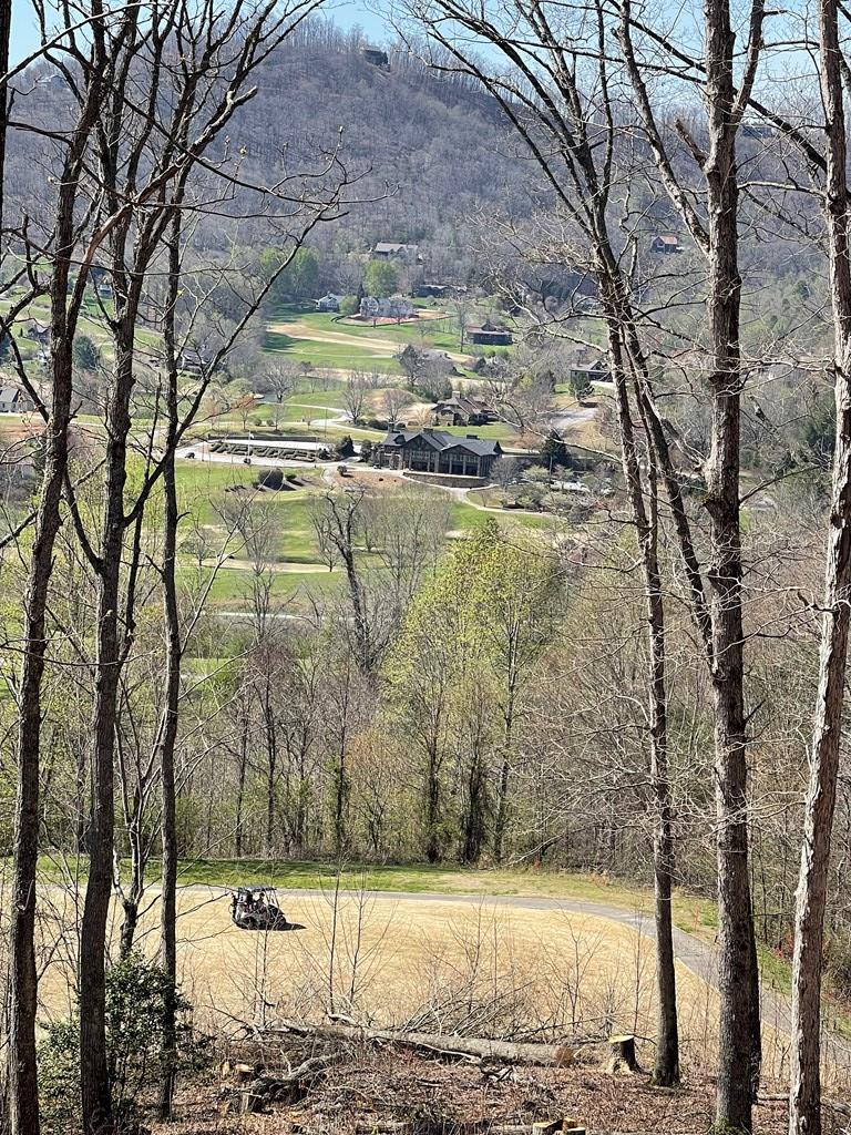 17M Ridges Overlook #17M, HAYESVILLE, North Carolina image 2