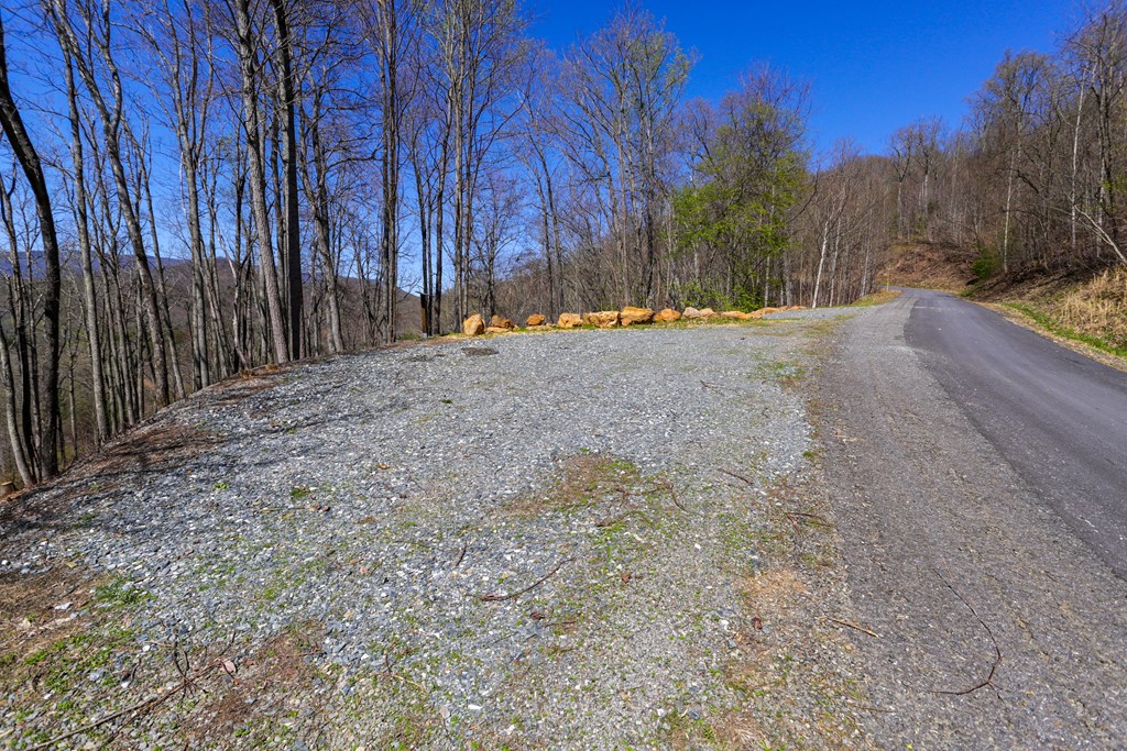 17M Ridges Overlook #17M, HAYESVILLE, North Carolina image 11