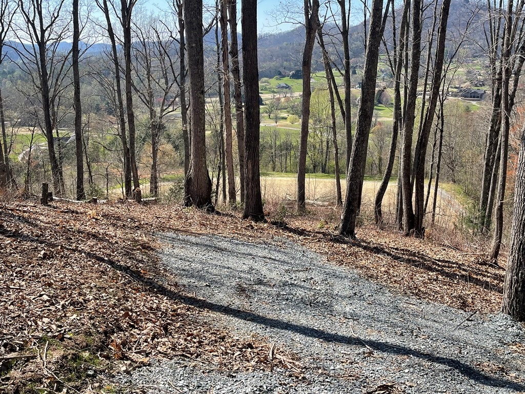 17M Ridges Overlook #17M, HAYESVILLE, North Carolina image 24