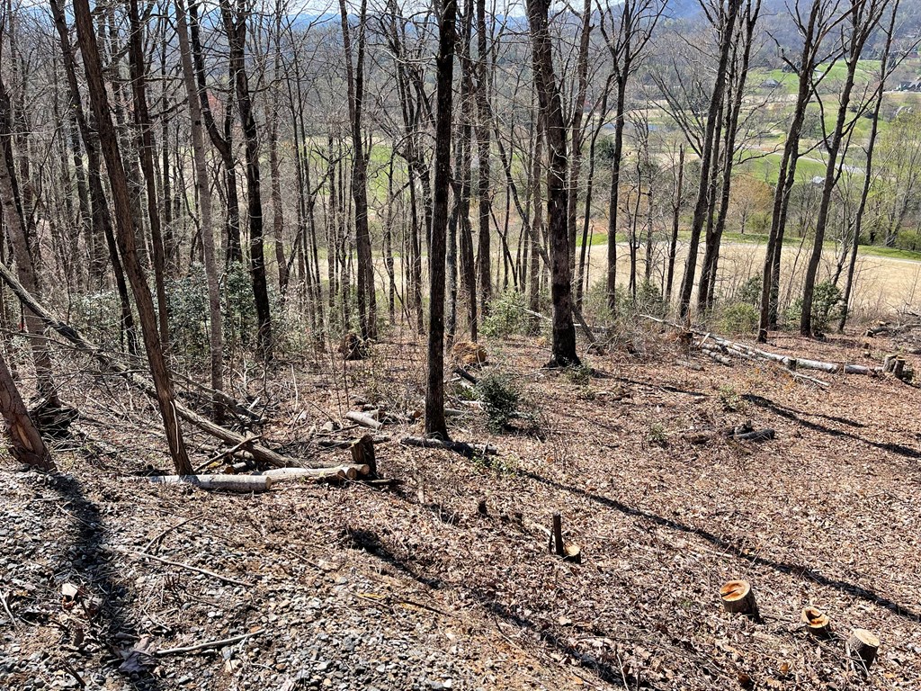 17M Ridges Overlook #17M, HAYESVILLE, North Carolina image 20