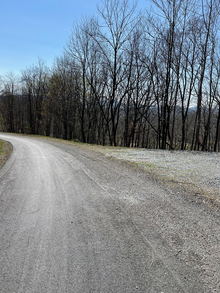 17M Ridges Overlook #17M, HAYESVILLE, North Carolina image 28