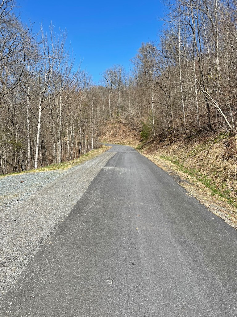 17M Ridges Overlook #17M, HAYESVILLE, North Carolina image 30