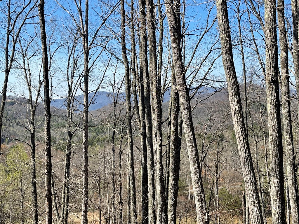 17M Ridges Overlook #17M, HAYESVILLE, North Carolina image 8