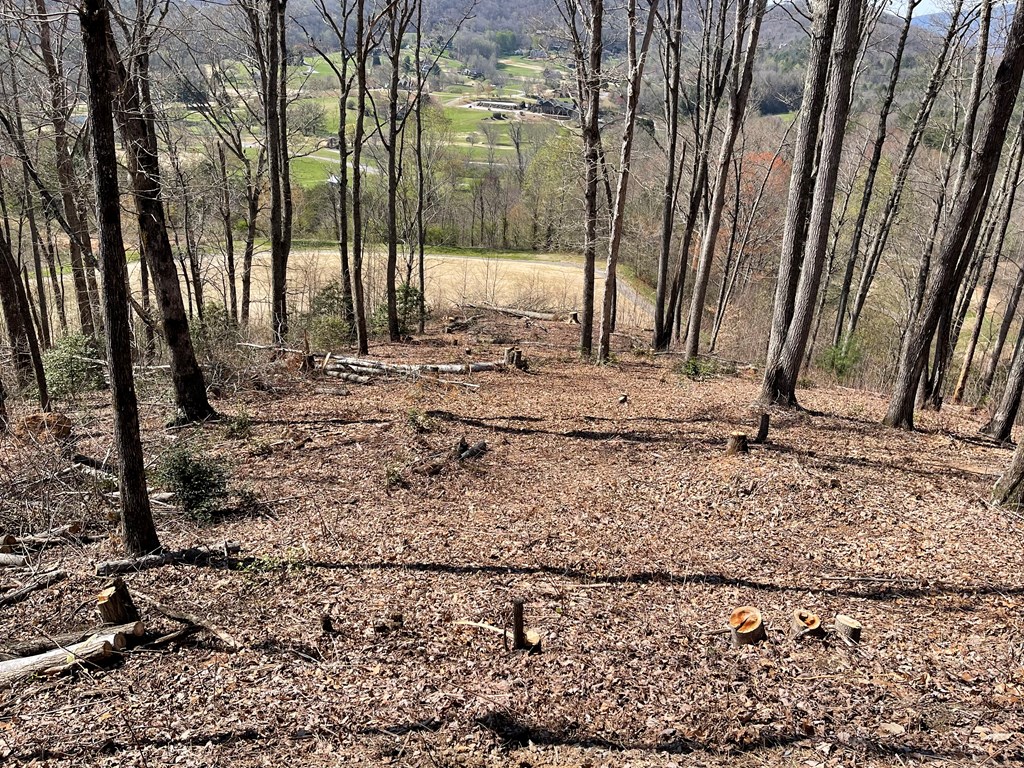 17M Ridges Overlook #17M, HAYESVILLE, North Carolina image 5