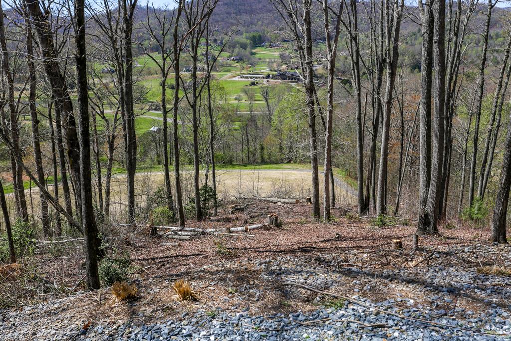 17M Ridges Overlook #17M, HAYESVILLE, North Carolina image 9