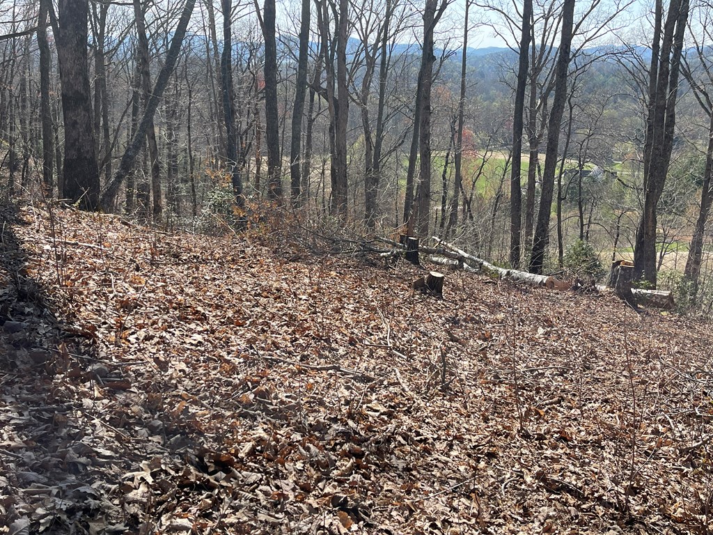 17M Ridges Overlook #17M, HAYESVILLE, North Carolina image 26