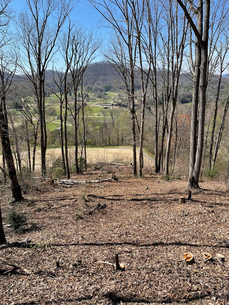 17M Ridges Overlook #17M, HAYESVILLE, North Carolina image 7