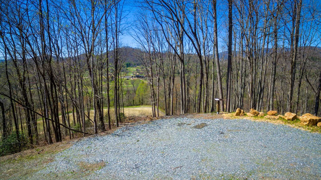 17M Ridges Overlook #17M, HAYESVILLE, North Carolina image 12