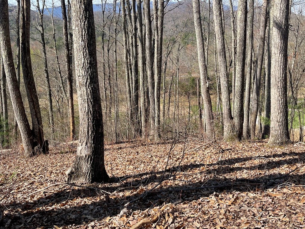 17M Ridges Overlook #17M, HAYESVILLE, North Carolina image 6