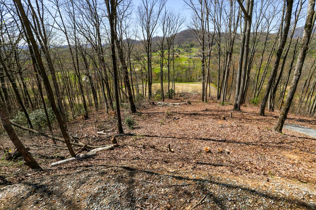 17M Ridges Overlook #17M, HAYESVILLE, North Carolina image 4