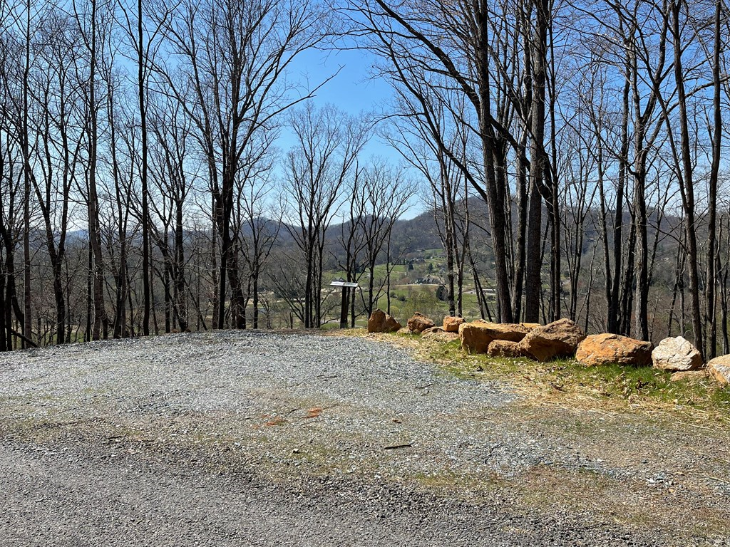 17M Ridges Overlook #17M, HAYESVILLE, North Carolina image 13