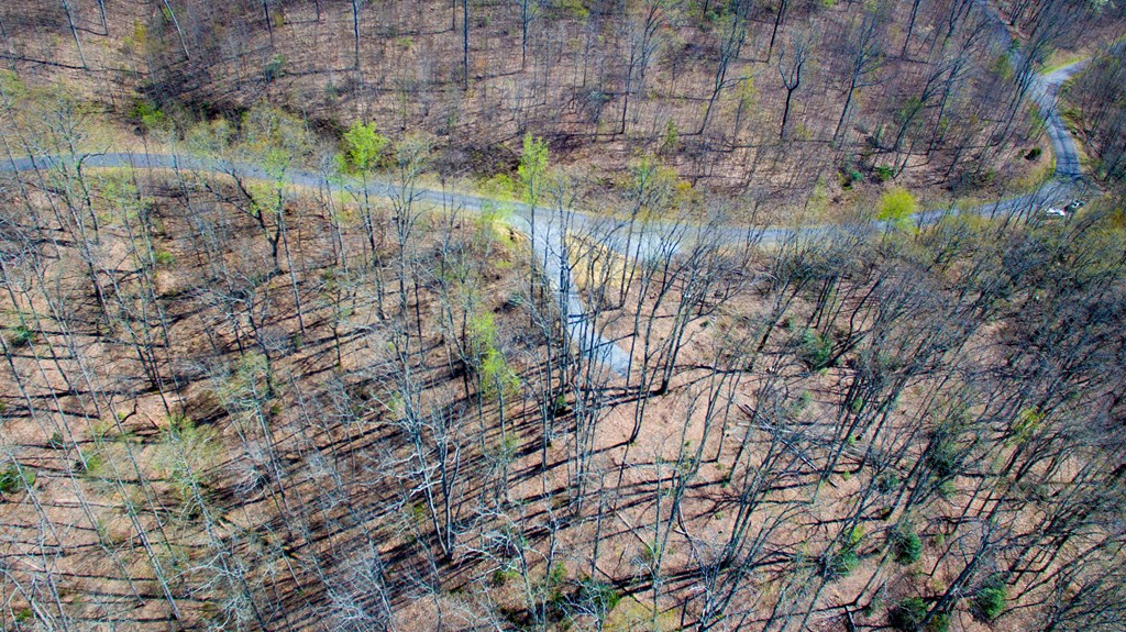 17M Ridges Overlook #17M, HAYESVILLE, North Carolina image 19